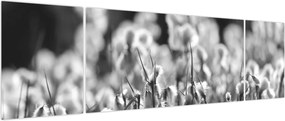 Obraz - Letnia łąka (170x50 cm)