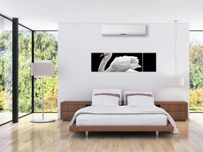 Obraz czarno - białego łabędzia (170x50 cm)