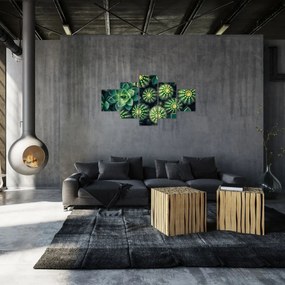 Obraz - Kaktusy (125x70 cm)
