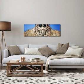 Obraz szczegółu pająka (z zegarem) (90x30 cm)