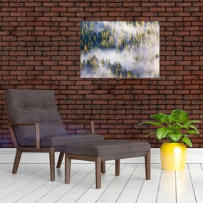 Obraz drzew we mgle (70x50 cm)