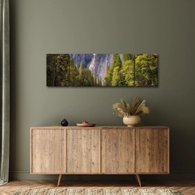 Obraz - Pod Yosemite Rock (170x50 cm)