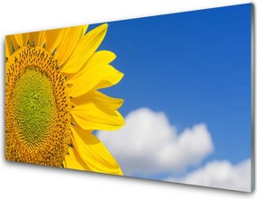 Panel nad blat kuchenny Słonecznik Pod Letnim Niebem