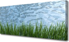 Obraz canvas Świeżość Trawy nad Brzegiem