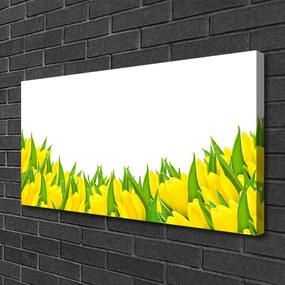 Obraz Canvas Kwiaty Natura Tulipany