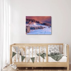 Obraz na szkle zimowego krajobrazu (70x50 cm)