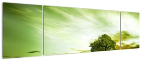 Obraz - Drzewo życia (170x50 cm)