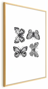 Plakat Cztery motyle 21x30 cm z ramą złotą z marginesem ARTGEIST B