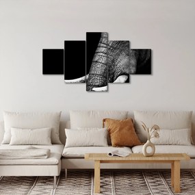 Obraz - Kły słonia (125x70 cm)