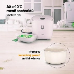 Lauben Low Sugar Rice Cooker  3000WT
