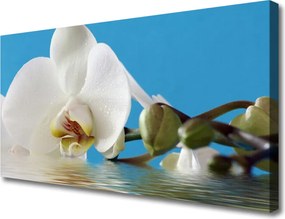 Duży obraz na płótnie Botaniczny Portret Kwiatu