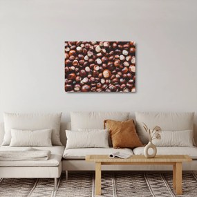 Obraz na szkle - Dojrzałe kasztany (70x50 cm)