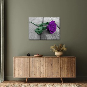 Obraz - Fioletowa róża z zieloną łodygą (70x50 cm)