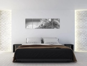 Obraz - Wilk, czarno - biały (170x50 cm)
