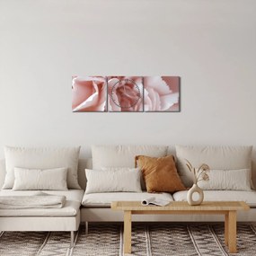 Obraz - Szczegół kwiatu (z zegarem) (90x30 cm)