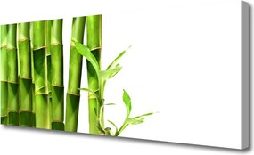 Zdjęcie na płótnie Egzotyczny Pęd Bambusa