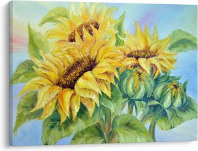 Obraz kwitnących słoneczników (70x50 cm)