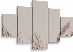 Obraz - Suszona trawa (125x70 cm)