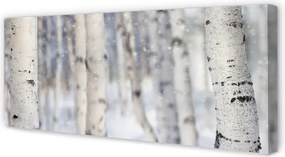 Obraz na płótnie Drzewa Zimą w Śniegu