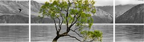 Obraz drzewa na środku jeziora (170x50 cm)