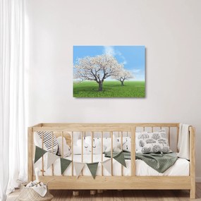 Obraz na szkle - drzewa (70x50 cm)