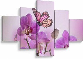 Obraz - Motyl na kwiatach orchidei, liliowy (125x70 cm)