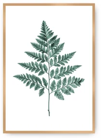Plakat Fern Emerald Green