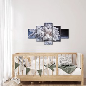 Obraz - Śnieżnobiałe drzewo (125x70 cm)