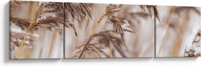 Obraz - Lipnice (170x50 cm)