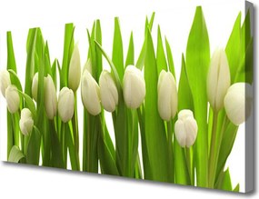 Obraz canvas na ścianę Kolorowy Zawrót Głowy: Tulipany