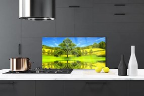 Szkło do Kuchni na Ścianę Samotne Drzewo na Polanie