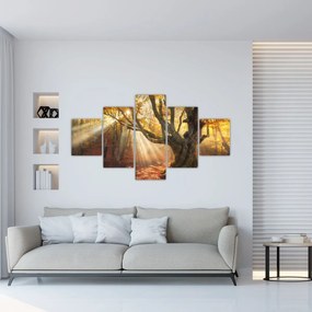 Obraz - Jesienny świt (125x70 cm)