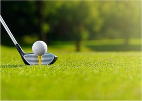 Obraz na szkle - Golf (70x50 cm)