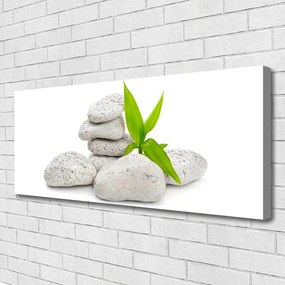 Fotoobraz na płótnie Harmonia Kamieni Rzecznych