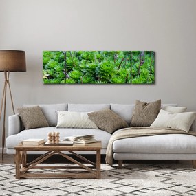 Obraz sukulentów (170x50 cm)