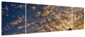 Obraz - palmy pośród chmur (170x50 cm)