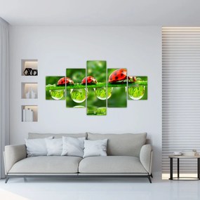 Obraz - Sunshine of the Seven Suns (125x70 cm)