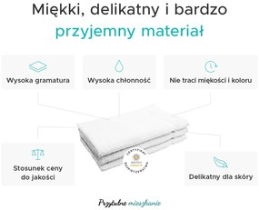 Ręcznik Classic mały jasno zielony 30x50 cm, 100% bawełna