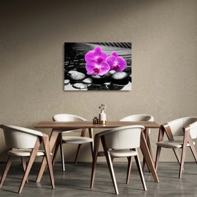 Obraz na szkle - Fioletowe orchidee (70x50 cm)