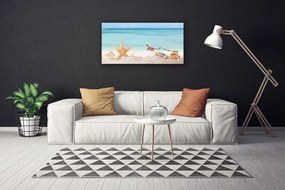 Obraz Canvas Rozgwiazda Muszle Plaża