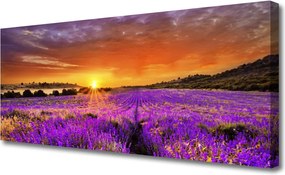 Obraz canvas Pole Lawendy o Zmierzchu