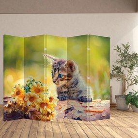 Parawan - Kotek patrzący na kwiat (210x170 cm)