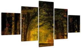 Obraz lasu (125x70 cm)