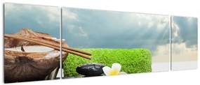 Obraz - Spa and relakx (170x50 cm)