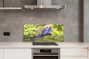 Panel Szklany Tropikalna Para na Drzewie