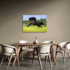 Obraz na szkle - Koń z płynącą grzywą (70x50 cm)