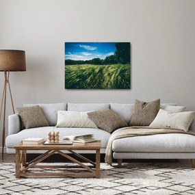 Obraz łąki i lasu (70x50 cm)