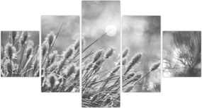 Obraz - Beżowa miękka trawa N⁰1 (125x70 cm)
