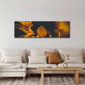 Obraz - Słoneczniki na czarnym tle (170x50 cm)