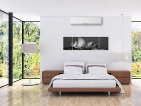 Obraz Opery w Sydney (170x50 cm)